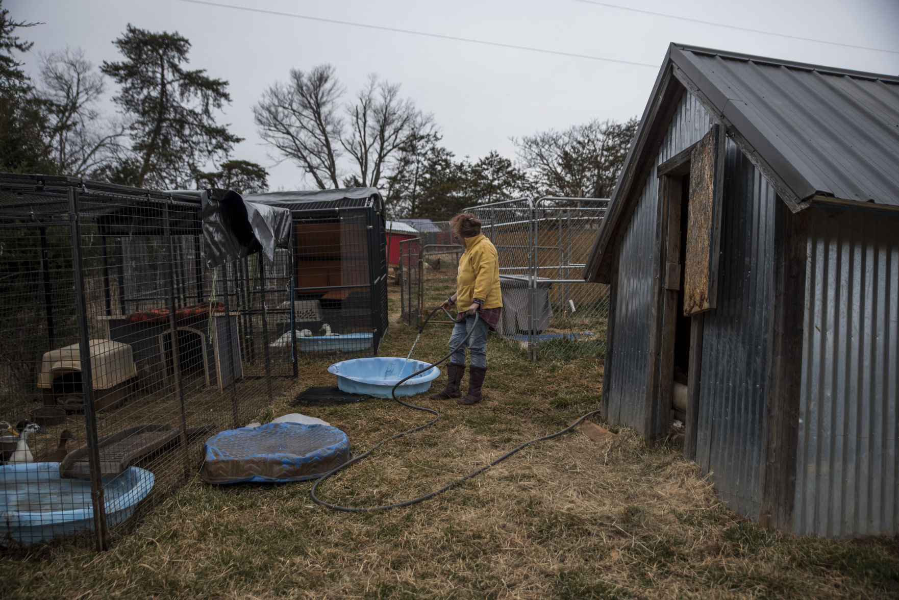 Animal Sanctuary